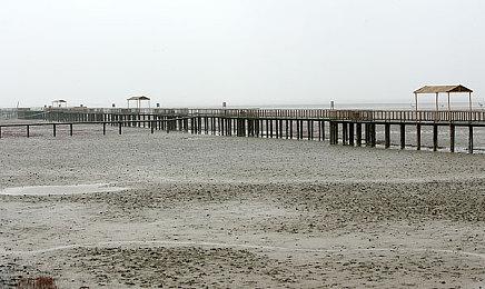 外媒称《剑星》的成功要感谢“饥渴的粉丝” 玩家发祖国人视频恶搞嘲笑育碧